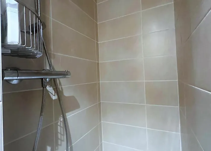 Pied Des Pistes 7 Personnes *